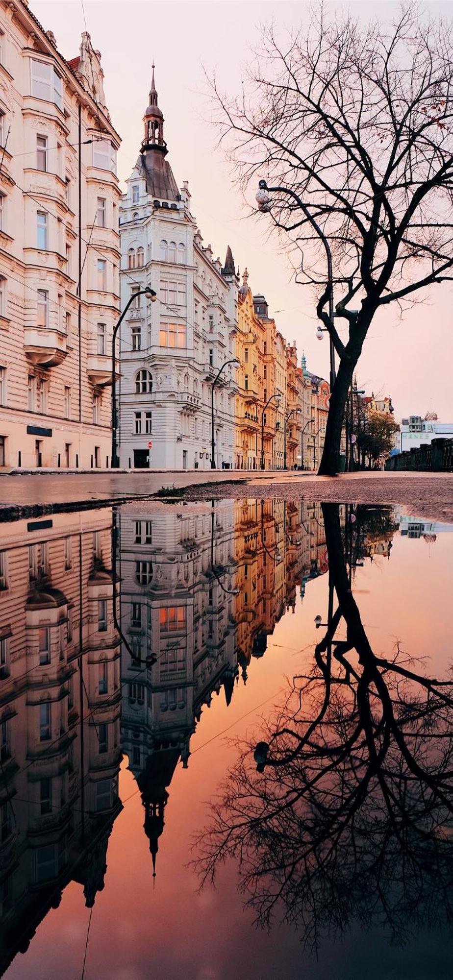 Center Of Prague Apartment 369 المظهر الخارجي الصورة